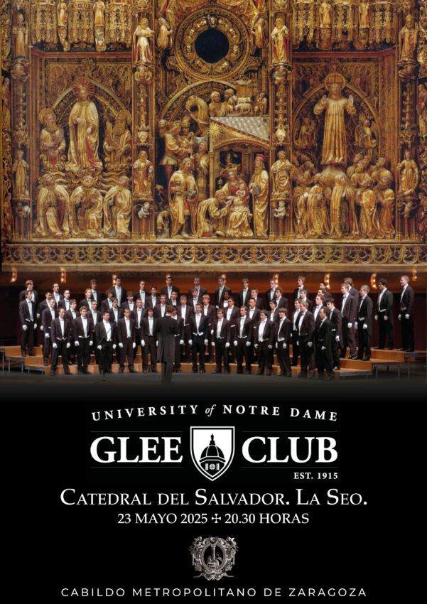 Concierto Catedral del Salvador. La Seo.